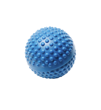 Spiky Massage Ball